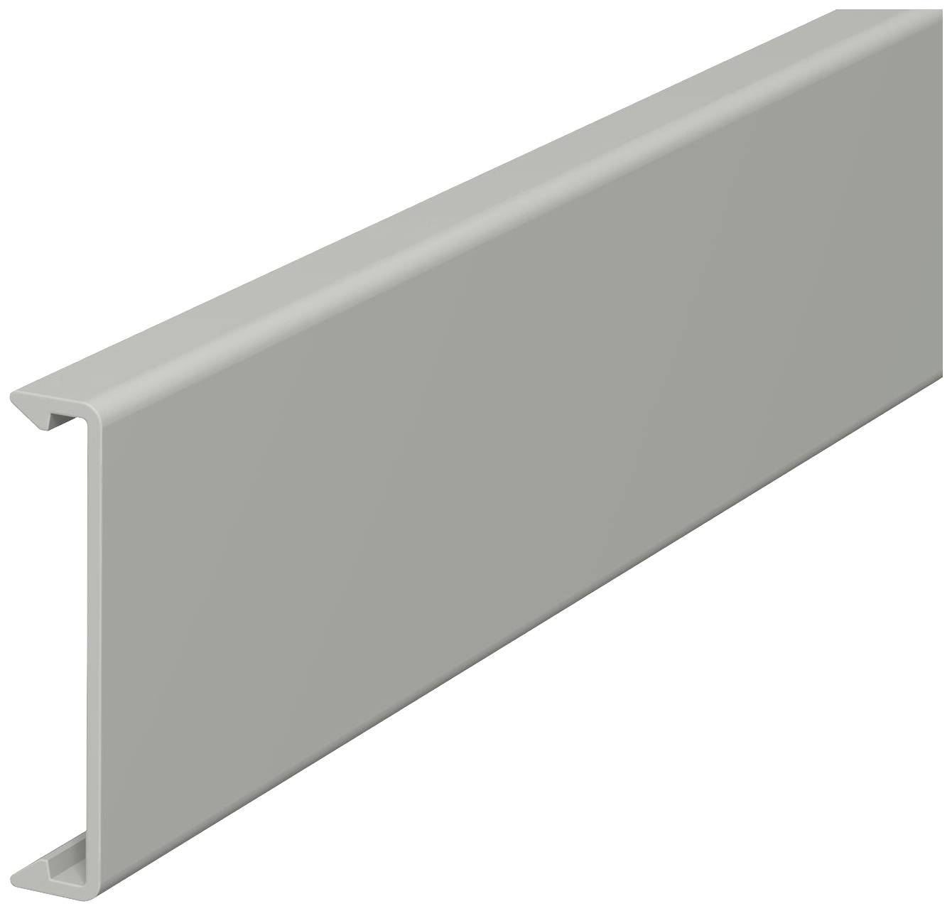 OBO Bettermann 6022669 Bovengedeelte voor plintgoot (l x b) 2000 mm x 40 mm Grijs 1 stuk(s)