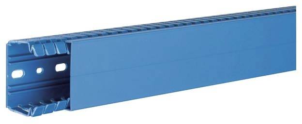Hager BA740060BL Kabelgoot (l x b x h) 2 m x 60 mm x 40 mm 2 m Blauw