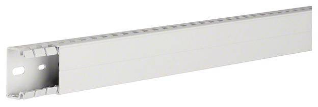 Hager HA725040 Kabelgoot (l x b x h) 2 m x 40 mm x 25 mm 2 m Grijs
