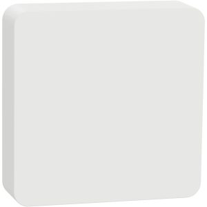Schneider Electric Wiser CCT593012 Temperatuursensor, Luchtvochtigheidssensor Schneider Electric Wiser CCT593012 Temperatuursensor, Luchtvochtigheidssensor