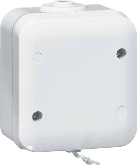 PEHA by Honeywell 387621 Trekschakelaar Compleet Grijs 1 stuk(s)