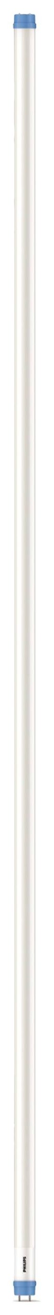 Philips LED LED-buis-Buis Energielabel: F (A - G) G13 T8 31.5 W Warmwit 1 stuk(s) (Ø x l) 28 mm x 1514 mm