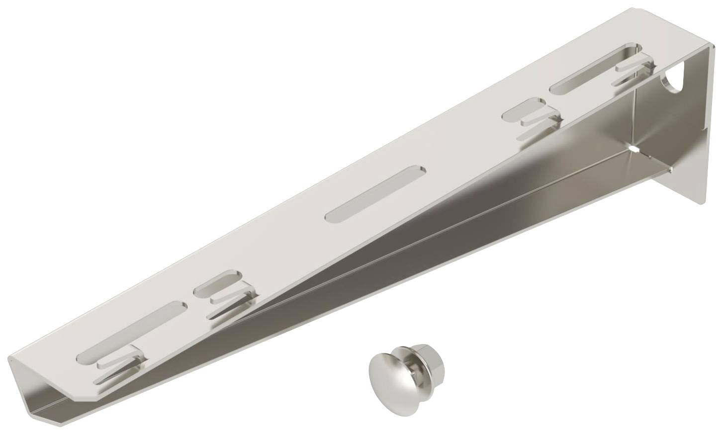 OBO Bettermann 6424404 Wand- en steunbeugel Bevestigingsset (l x b) 38 mm x 310 mm 30 stuk(s)
