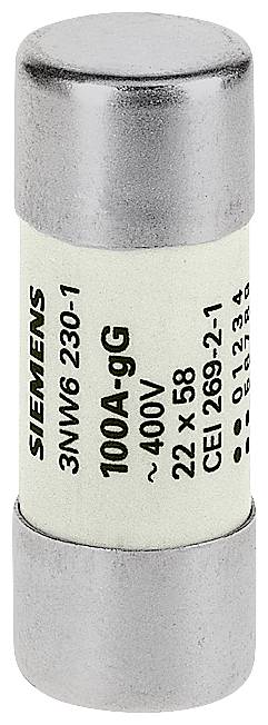 Siemens 3NW62101 Cilinderzekeringmodule 10 stuk(s)
