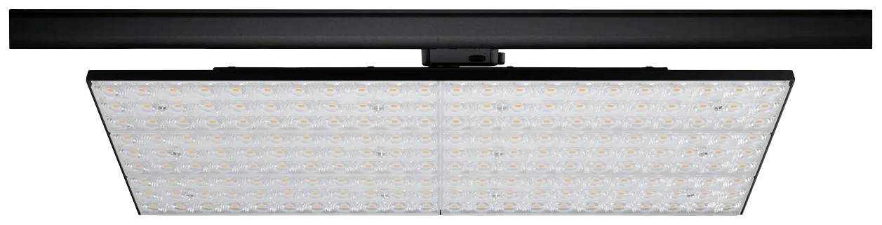 Paulmann ProRail3 Kratos 96583 LED-railspot ProRail3 75 W LED Zwart