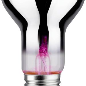 Paulmann LED-plantenlamp groei 230 V E27 6.5 W Barnsteen 1 stuk(s)
