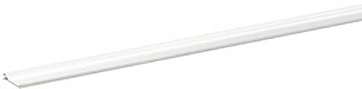 Schneider Electric 5590310 Scheidingswig 1 stuk(s)