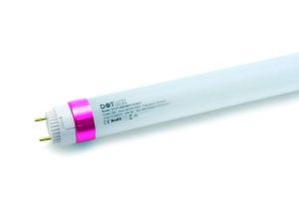 DOTLUX 1731-1 LED-buis-lamp 25 stuk(s)