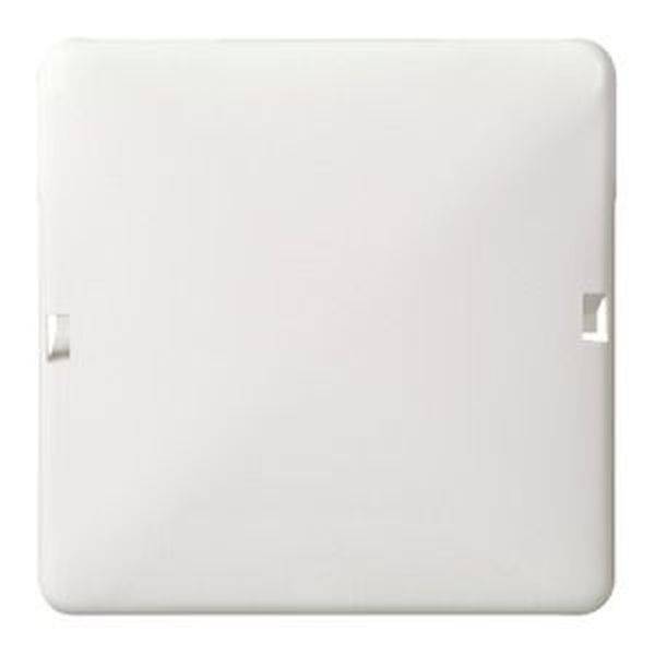 ELSO blinde afdekking 503034 2f. 80x122 RENOVATIE zuiver wit 10 stuk(s)