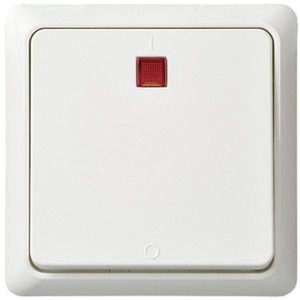 ELSO UP-controleschakelaar 251214 2p. bel. 16A RENOVATIE rw 10 stuk(s) ELSO UP-controleschakelaar 251214 2p. bel. 16A RENOVATIE rw 10 stuk(s)