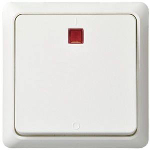 ELSO UP-controleschakelaar 251214 2p. bel. 16A RENOVATIE rw 10 stuk(s)