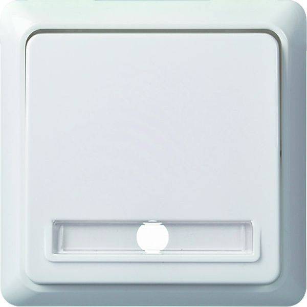 ELSO toets 512140 10A verlicht met RENOVATIE pw 10 stuk(s)