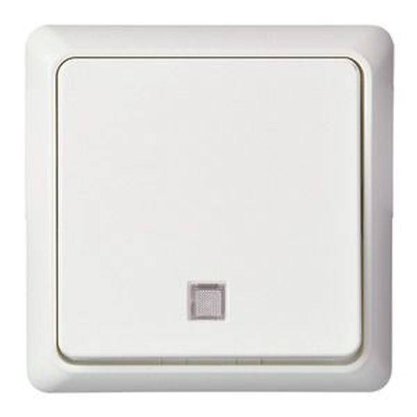 ELSO UP-toets 252134 verlicht 10A RENOVATIE pw 10 stuk(s)