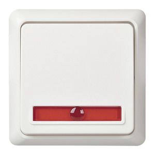 ELSO controlewisselschakelaar 501624 10A verlicht RENOVATIE rw 1 stuk(s)