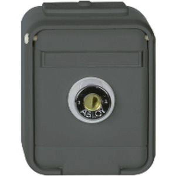 ELSO stopcontact gl afsluitbaar 455029 16A AquaTop licht/basisgrijs 1 stuk(s)