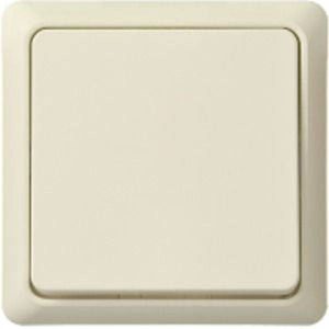 ELSO UP-toets 252100 10A RENOVATIE compleet pw 1 stuk(s) ELSO UP-toets 252100 10A RENOVATIE compleet pw 1 stuk(s)