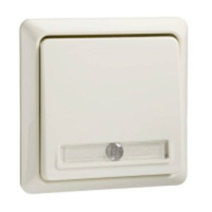 ELSO-toets 502110 10 A verlicht RENOVERING pw 1 stuk(s)