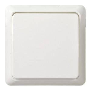 ELSO-toets 502114 10A verlicht RENOVATIE rw 1 stuk(s)