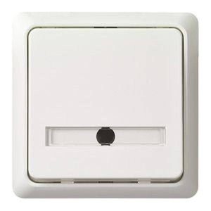 ELSO-toets 506124 42 V/1 A inbouw RENOVATIE rw 1 stuk(s)