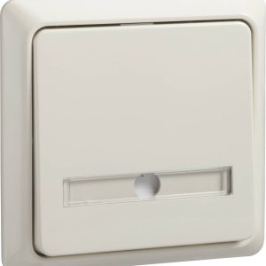 ELSO-toets 506320 42V/1A AP vlak RENOVATIE pw 1 stuk(s)