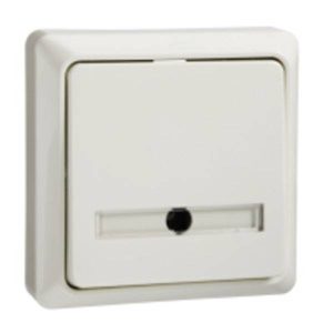ELSO toets 506220 42V/1A opbouw RENOVATIE pw 10 stuk(s) ELSO toets 506220 42V/1A opbouw RENOVATIE pw 10 stuk(s)