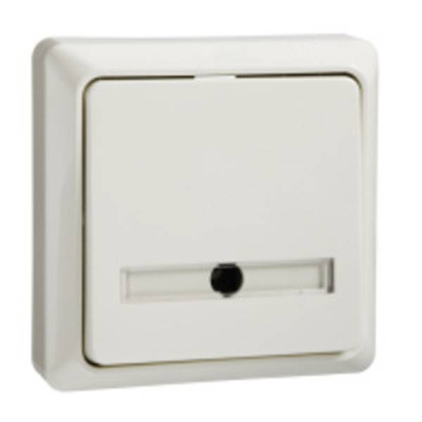 ELSO toets 506220 42V/1A opbouw RENOVATIE pw 10 stuk(s)