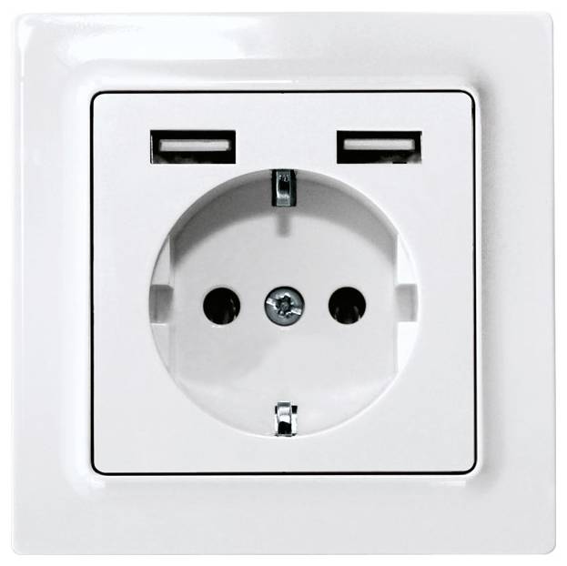Eltako DSS55E+2xUSBA-pm Stopcontact Inbouw (in muur), Schroefbevestiging