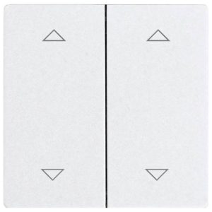 Eltako DW-F4T55E-wg+2P Dubbele tuimelschakelaar Draadloos Eltako DW-F4T55E-wg+2P Dubbele tuimelschakelaar Draadloos