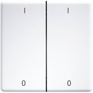 Eltako DW-FT55-wg+IO Dubbele tuimelschakelaar Eltako DW-FT55-wg+IO Dubbele tuimelschakelaar