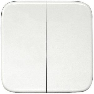 Eltako DW-FT55R- Dubbele tuimelschakelaar Draadloos Eltako DW-FT55R- Dubbele tuimelschakelaar Draadloos