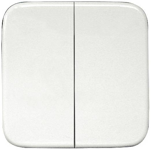 Eltako DW-FT55R- Dubbele tuimelschakelaar Draadloos