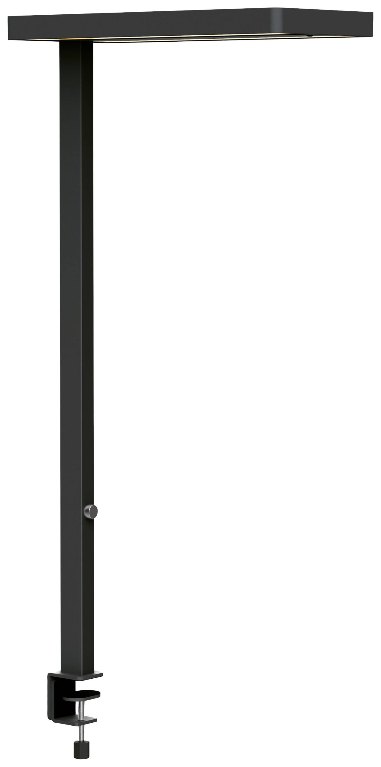Maul MAULjuvis 8258790 LED-tafellamp LED Lichtbron vervangbaar door elektricien 64 W Zwart