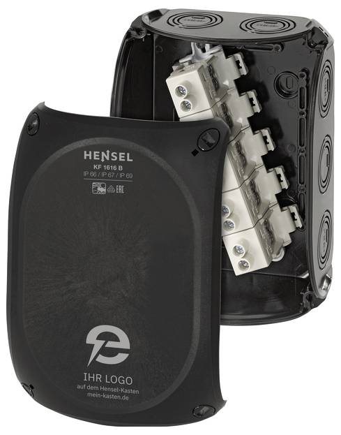 Hensel 62000396 Aftakdoos Met schroefklemmen, Weerbestendig, Halogeenvrij (l x b) 210 mm x 155 mm 1 stuk(s)