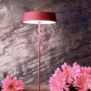 Deko Light Miram 346034 Tafellamp LED LED vast ingebouwd 2.20 W Robijn-rood